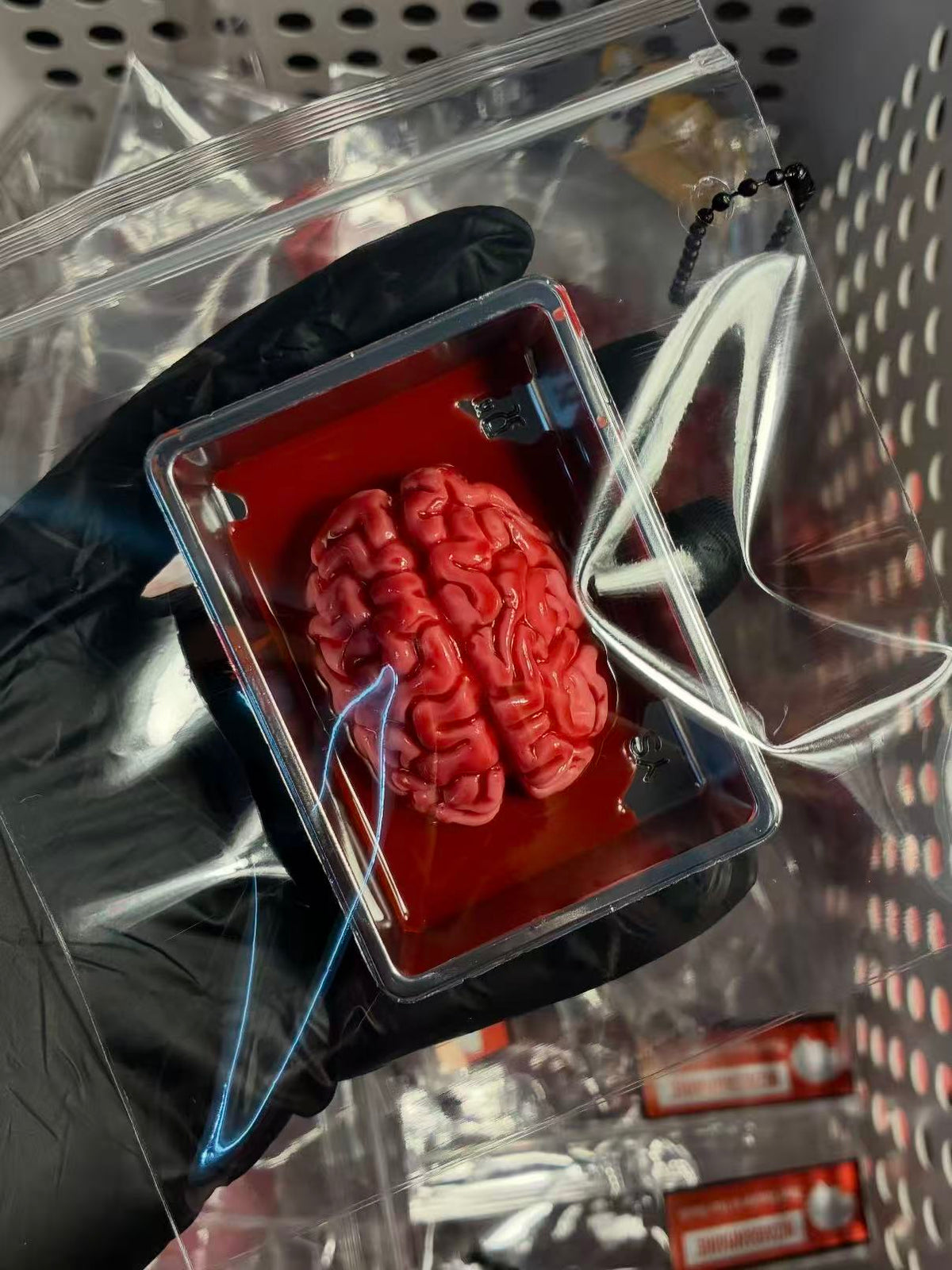 Handmade realistic silicone brain squishy in silver tray