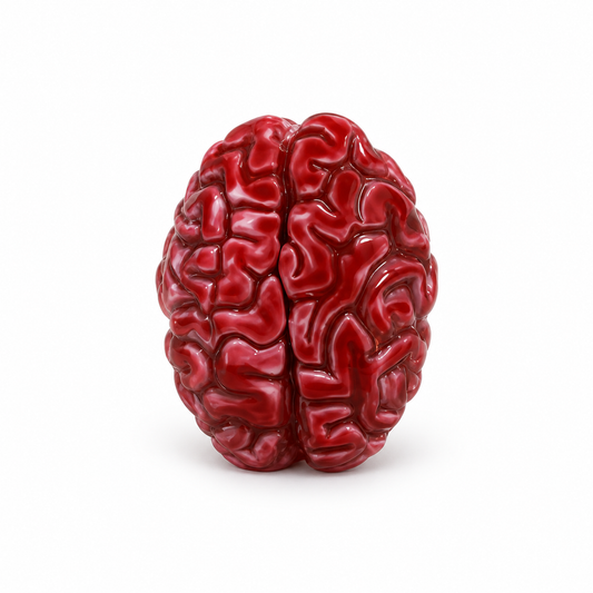 200 IQ Brain-Realistic Silicone Brain Squishy