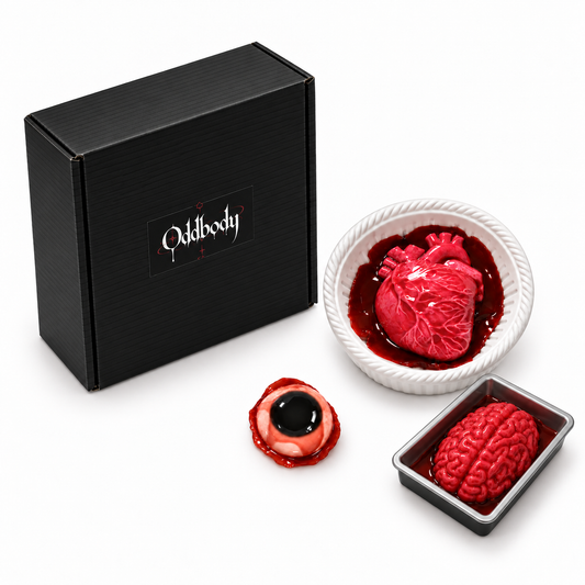 Heart brain and eyeball organ squishy gift set