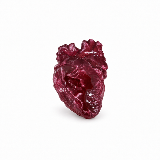 My Ex's Heart-Realistic Silicone Heart Squishy