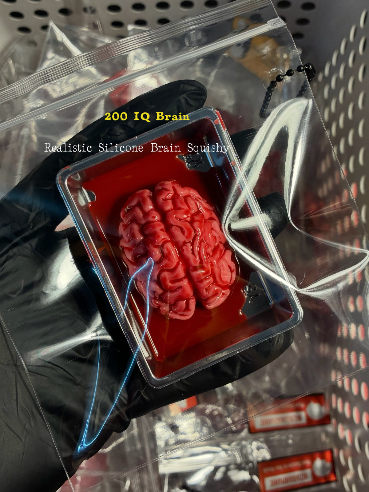 200 IQ Brain-Realistic Silicone Brain Squishy